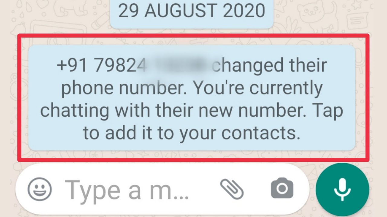 Whatsapp Changed Their Phone Number You'Re Currently Chatting With New Number Option Use In Whatsapp