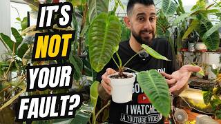 You’re Doing Everything Right… So Why Is This Houseplant STILL Rubbish? 😩🌿