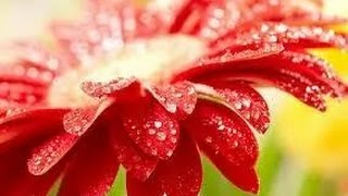 LIBRA JUNE 2016 SPIRITUAL LOVE  READING