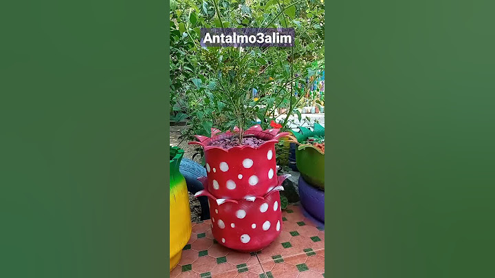 افكار مميزة لتزين حديقة المنزل 🌿🌱