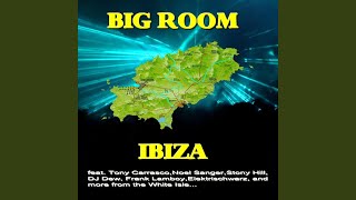 I'll House You (Dirty mix)