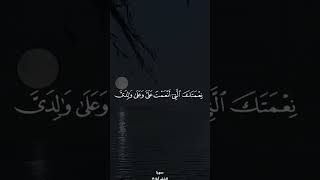 القارئ بلال سيف 🤍 #قران_كريم #قلب_مطمئن