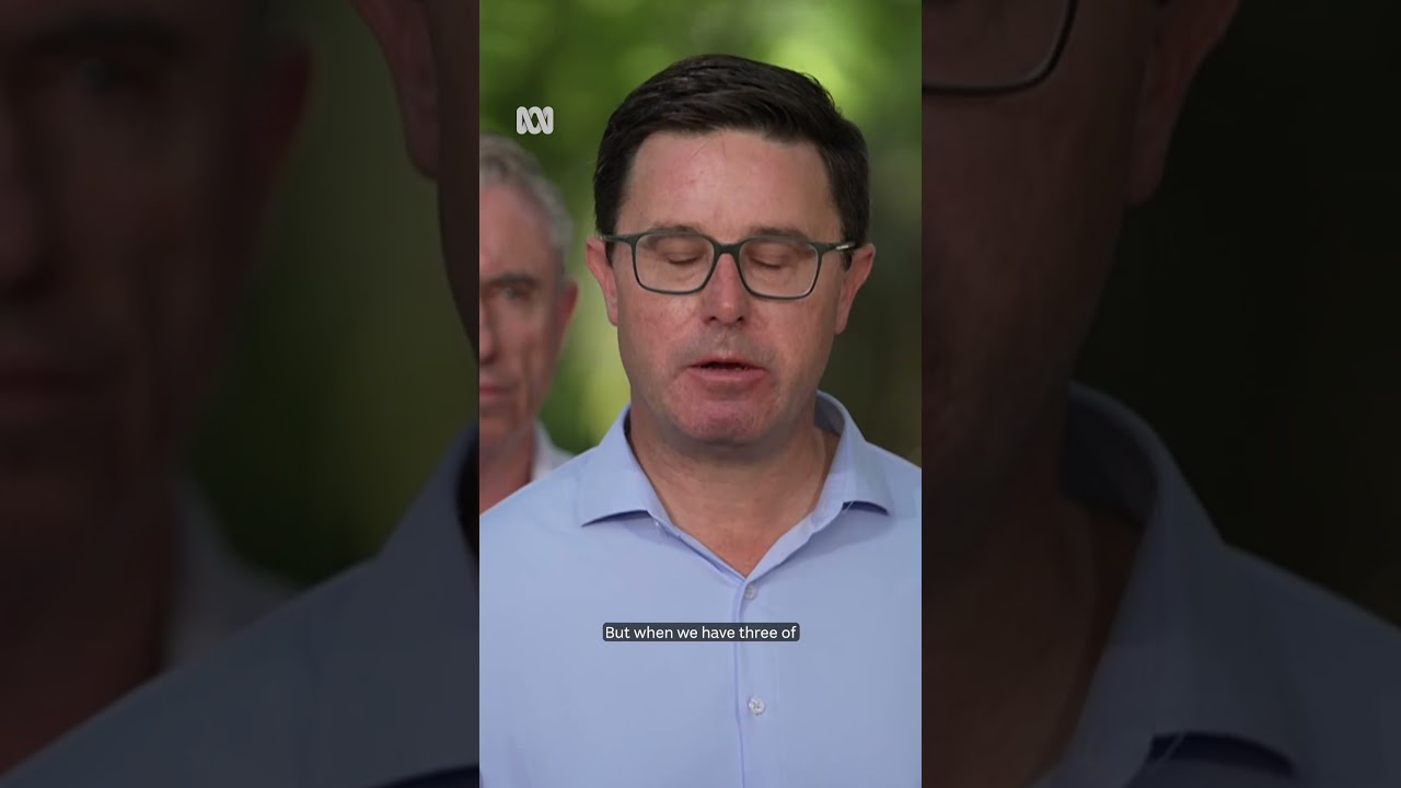 David Littleproud announces Nationals split from the Coalition | ABC NEWS