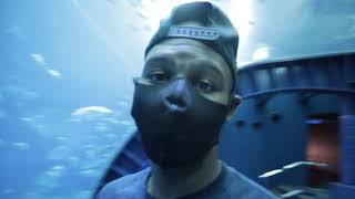 I WENT TO THE SECOND LARGEST AQUARIUM IN THE WORLD! | Okinawa Churaumi Aquarium | Okinawa, Japan