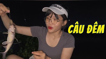 3 Ngày Câu Đêm Trên Sông Đồng Nai | Câu Cá Mùa Mưa | Mây Fishing