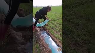 🌐 Futuristic Farming: Control Water Like a Pro! 💦🌾 #shorts #amazing #farming