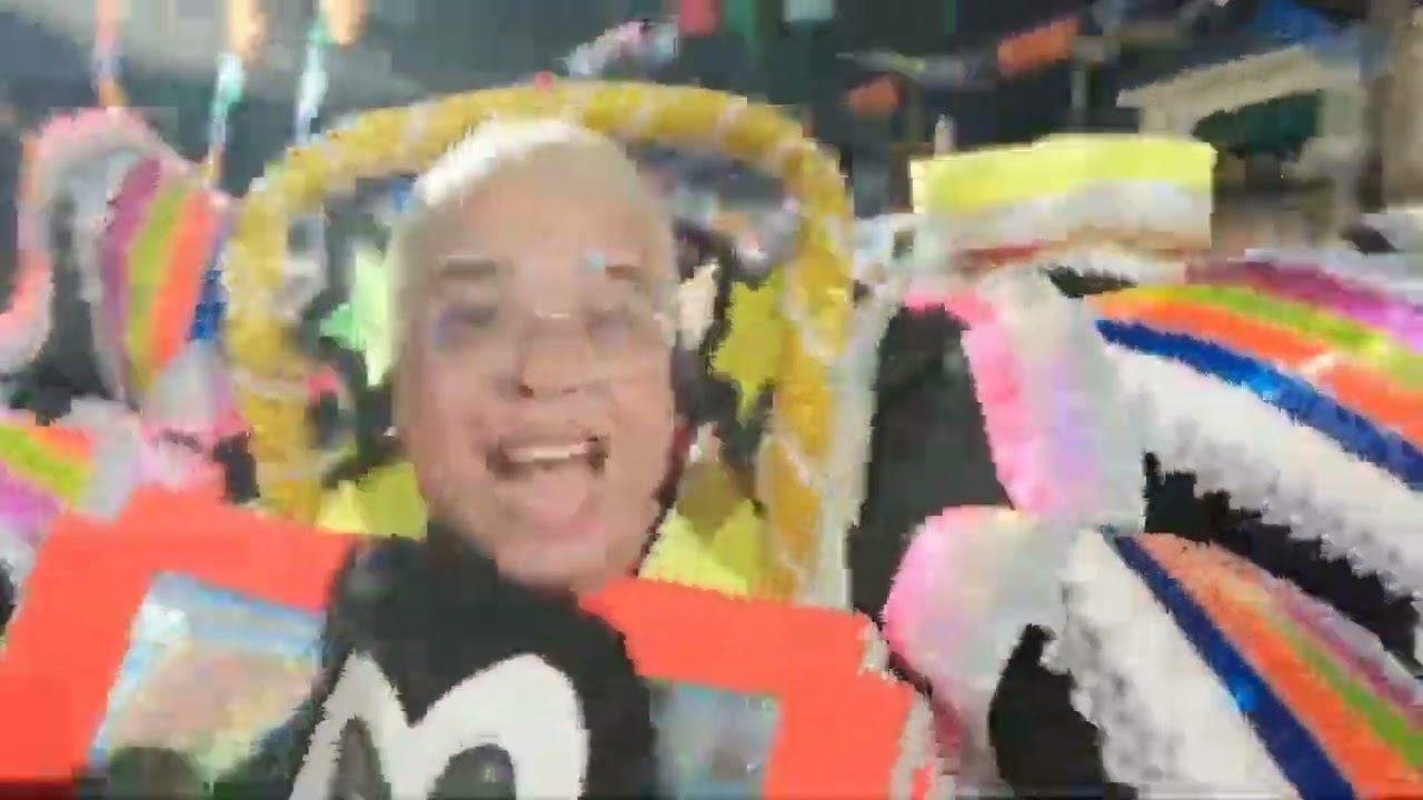 2025 Turma Animaniacs de Realengo 