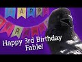 Fable the Raven | Happy Birthday Fable!