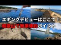 【和歌山エギング】地元民しか知らない!脅威の爆釣穴場4選