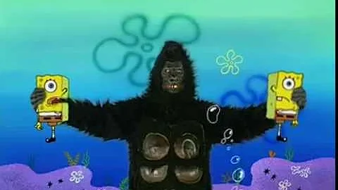 What's A Gorilla Doing Underwater? - I Had An Accident