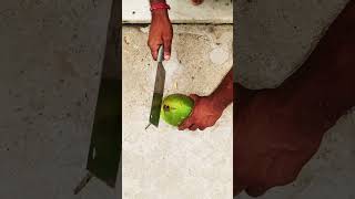 Green coconut cutting ♥️ short #ytshorts #drink #greencoconut #greencoconutcutting