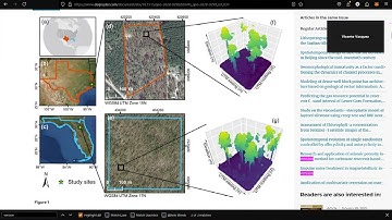 Individual Tree Detection using point clouds (Mohan et al., 2021)
