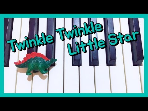 [사파리엘티디] Twinkle Twinkle Little Star♬