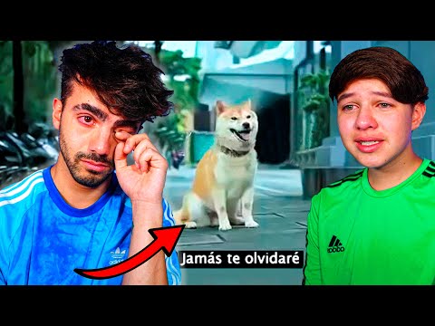 Video: El hombre recrea escenas de amor famosas con el Beagle de su jefe