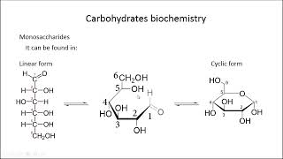 Carbohydrates biochemistry (Made easy) screenshot 5