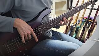 Plini, Cascade (bass re-cover)