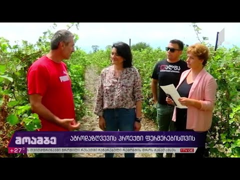 აგროდაზღვევის პროექტი ფერმერებისთვის