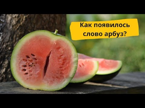 Как появилось слово арбуз?