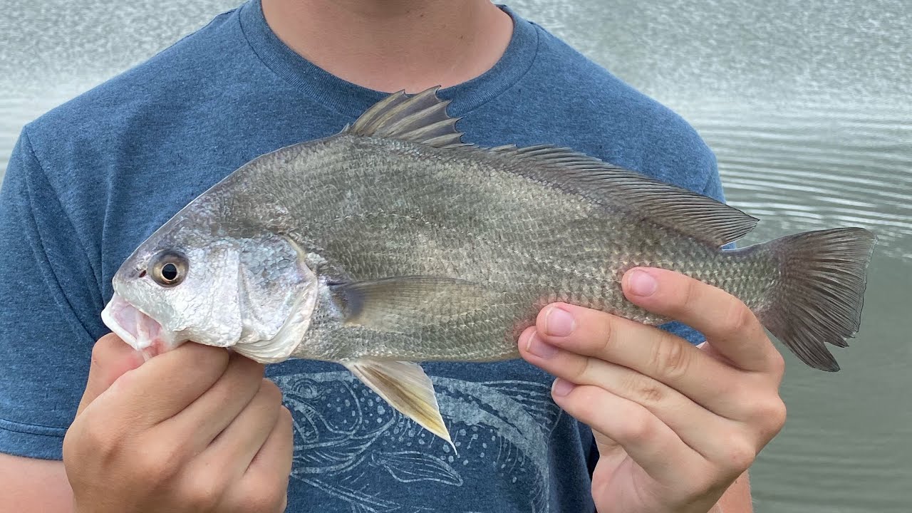 My Kansas Fishing Experience - YouTube