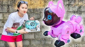 Cam Cam review con chó robot điều khiển từ xa, xoay 360 độ