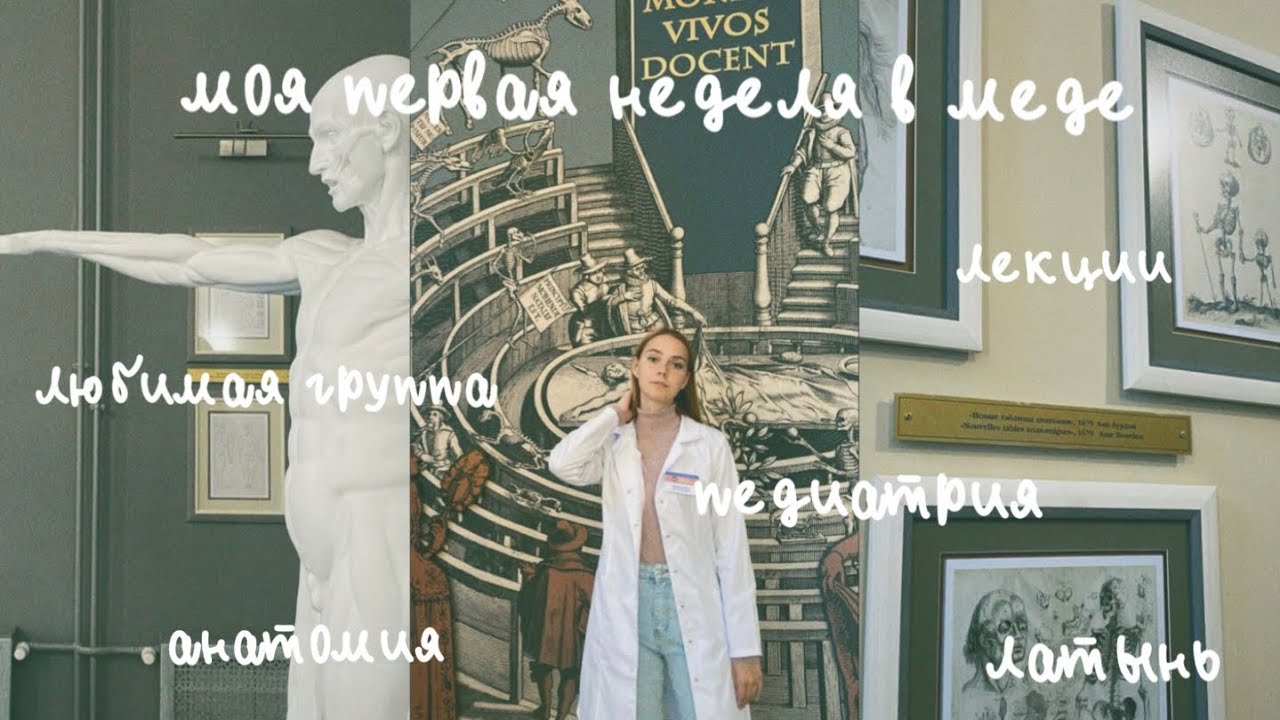 моя первая неделя в меде | будни студента-медика *наконец-то* | учу позвонки | педиатрия