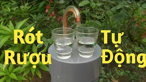 Máy Rót Rượu Tự Động (Review) - Automatic Wine Filling Machine