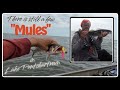 🎣 There is still a few “Mules” in Lake Pontchartrain - Louisiana Speckled Trout 🐟