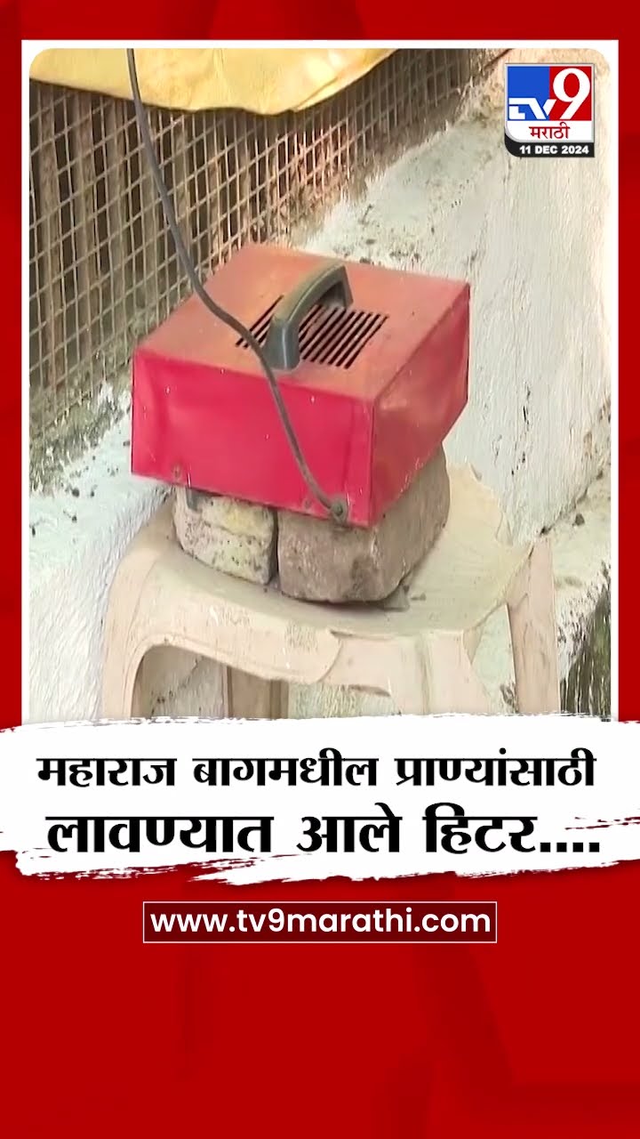 Nagpur मध्ये महाराज बागमधील थंडीपासून प्राण्यांच्या बचावासाठी लावण्यात आले Animal Heter