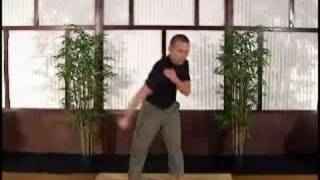 Scott Sonnon Intuflow Joint Mobility Beginner Part 3