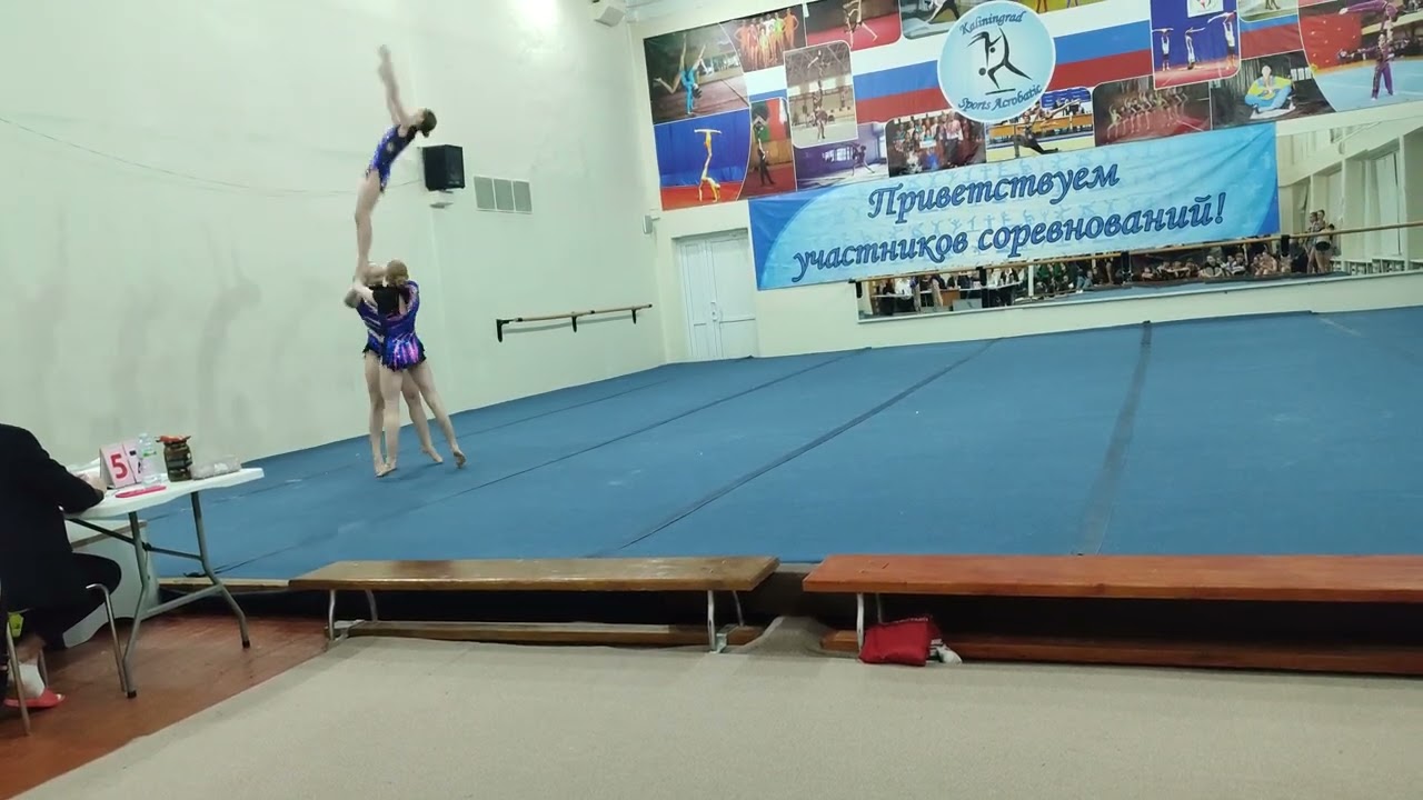 Тр 14 + Кривцун Вероника, Кузенкова Вероника, Гончарова Софья вольтиж