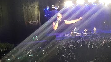 Disturbed