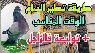 طريقة تطير حمام الخنيسي مع الوقت المناسب وتعزينا الحارة لاخوننا فهذه الكارثة الطبيعية ?