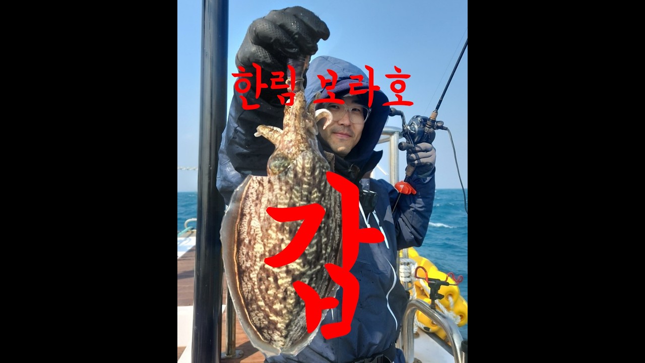 제주도 갑오징어 낚시 조금물때 너울치는 선탑에서 장원하기