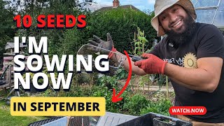 Vegetable Seeds To Sow In September - Seeds I'm Sowing Now - What to plant in September by My Family Garden 6,209 views 8 months ago 13 minutes, 10 seconds