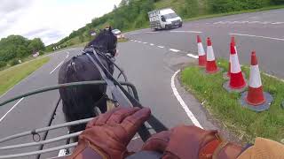 Breaking a traditional cob to carriage drive; Barry Hook; Horse Drawn Promotions