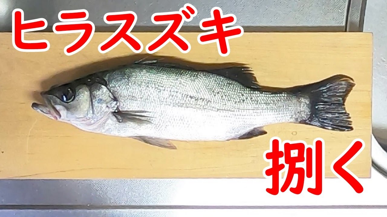 セリア商品で魚の血合い取りのささら作りました Youtube