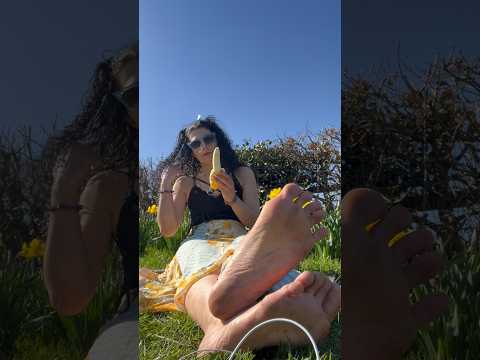 Groundhog by beautiful daffodils eating a banana