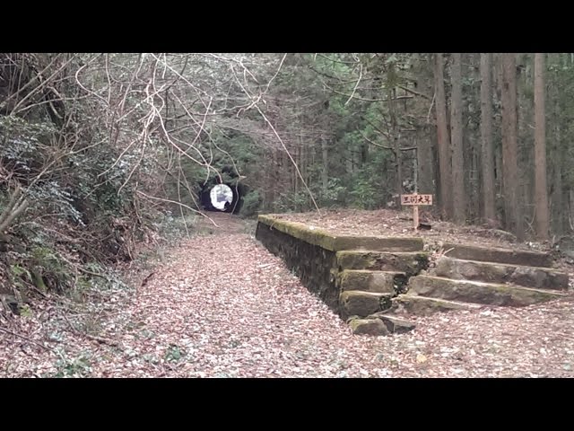 廃線探訪記～ここに線路があった～】第6回「豊橋鉄道田口線本長篠