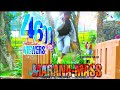 MARANA mass dance performance | petta dance performance | mass kuthu dance | solo dance | kuthudance