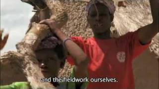 Why Livestock? - summary