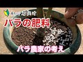 バラの肥料について　生産農家の考え