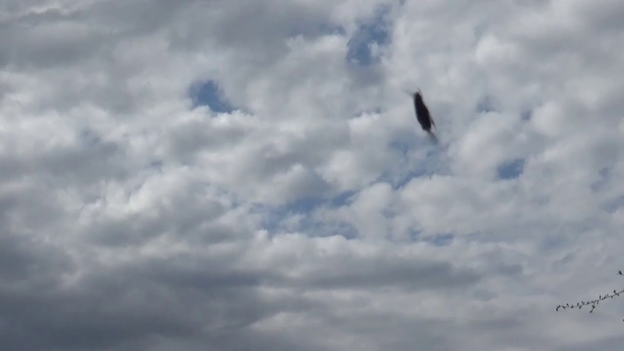 Медленно плывущие облака, футаж бесплатно - YouTube