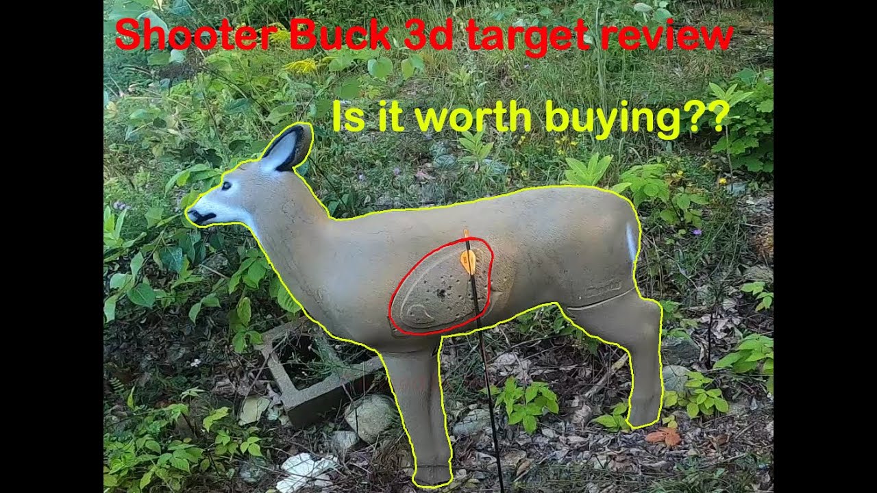 Shooter Buck 3d Archery Target Review And Honest Opinion YouTube