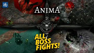 Archer VS All BOSS! Anima ARPG 2020 Gameplay (Android) screenshot 5