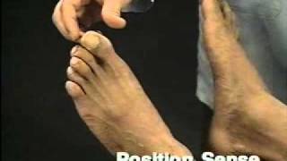 Sensory Assessment; Vibration Sensation and Position Sense