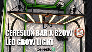 Grow Updates + Back from Vacation | Cereslux Bar X 820W LED Grow Light