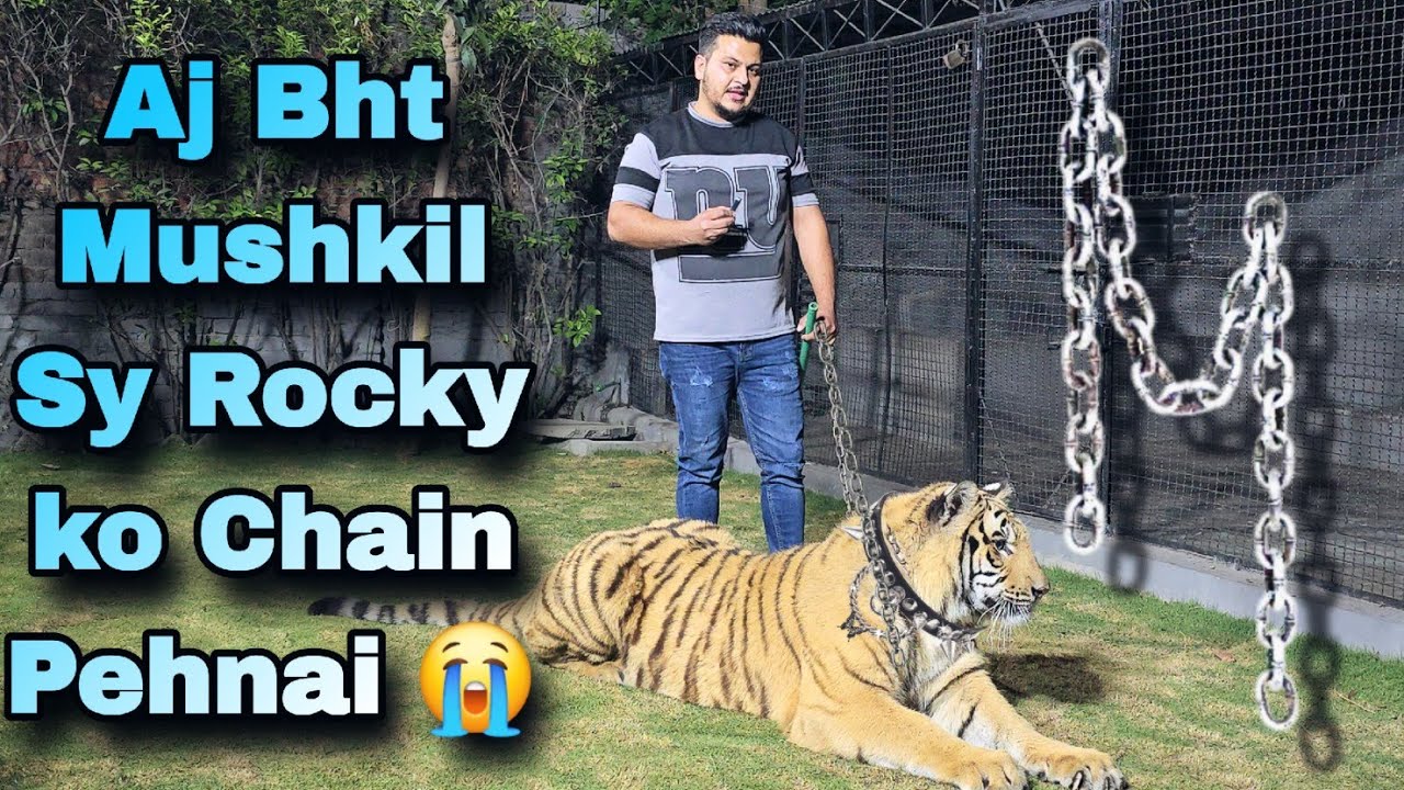 Rocky Ny Aj Mujy Dara Dia Or Bht Mushkil Sy Chain Phenai | Nouman ...