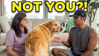 I Was 100% Sure My Golden Loved Me More… I Was Wrong!