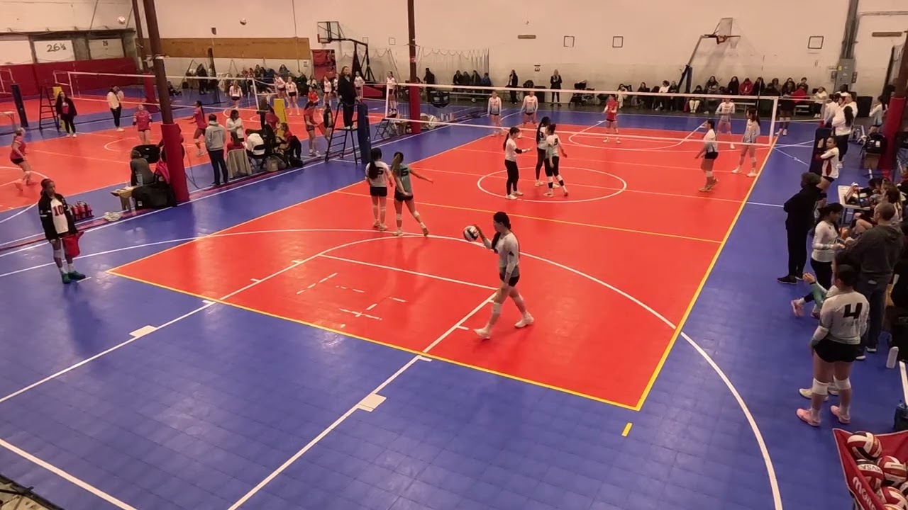 MVSA 14 Dynamite G1