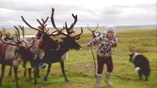 nomads kids burst into tears leaving parents and reindeers for civilization